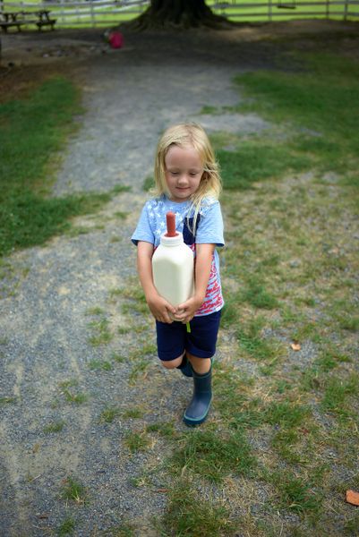 Henry carries the milk.