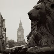 Lion in Westminster.
