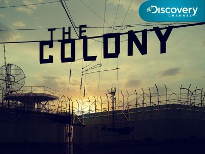 2010-colony.jpg