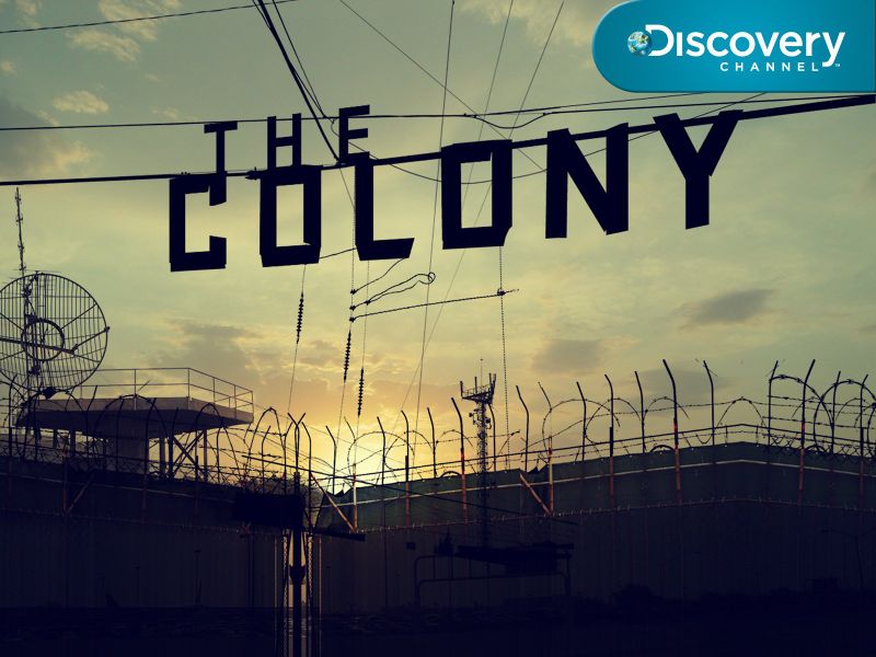 File:2010-colony.jpg