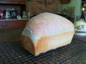 20110218-bread-01.jpg