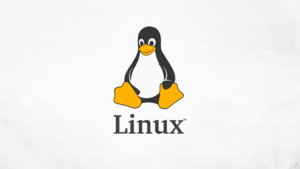 Linux-tux.png
